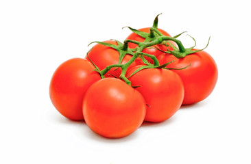 Bunch of tomato isolated on white background.