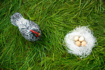 Eggs in a nest on green grass and a brood hen.  Congratulations on Easter.