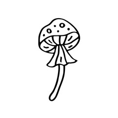 Mushroom vector doodle line art illustration, sticker, icon. Isolated on white background. Easy to change color. Design element. Gardening, eco food, vegetarian, vegan. Witchcraft, witch stuff. 