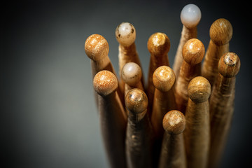 Close-up of a group of used wooden drumsticks on a dark background with copy space. Percussion instrument - obrazy, fototapety, plakaty