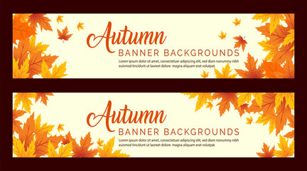 Autumn Background, Autumn leaves Background, Autumn Banner Backgrounds
