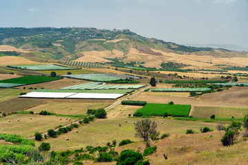 Rural landscape in Apulia at summer