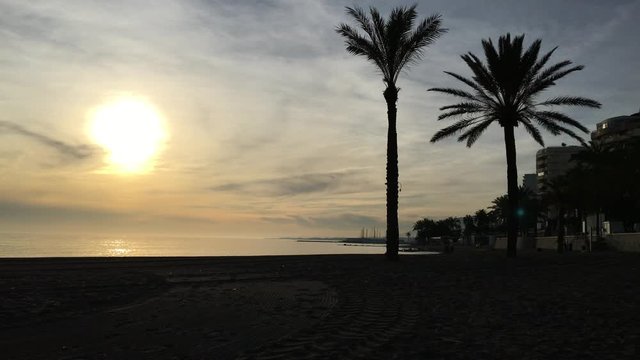 Atardecer cono palmeras y mar