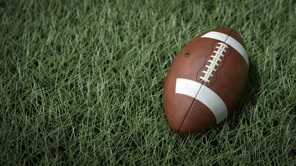 A close-up of the american ball on the field