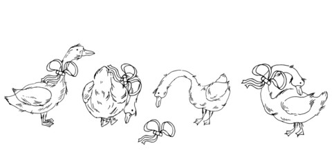 Cute geese in different poses. Line art. Vector illustration.