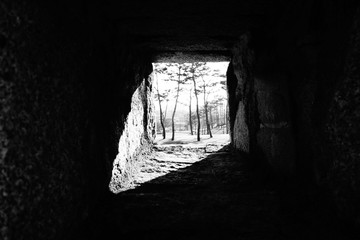 Fototapeta premium 140219_ksl04