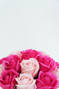 Buds of pink and white roses on a white background.