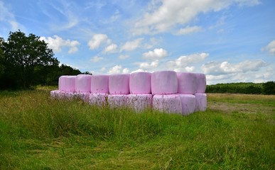 pink bales of hay © yvonne