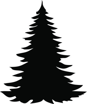 Pine Tree Vector Silhouette 