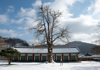 Fototapeta na wymiar Winter scenery of Daeseongjeon and Dongmu at the Jeonju Hyanggyo in Jeonju, South Korea