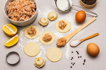 Fish dumplings. Ingredients for home cooking. Fresh dough, fish, spices, cooking equipment. Stone concrete background
