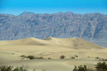 Fototapeta na wymiar large sand dune in Death Valley NAtionalpark in the USA