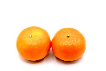 oranges on white background