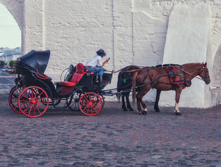 Fototapeta na wymiar Horse and a beautiful old carriage