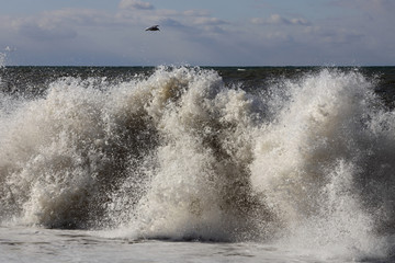 waves crashing on the beach