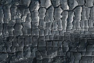 Top view close up on burned log. Black coal texture background. Abstract burnt wood backdrop.