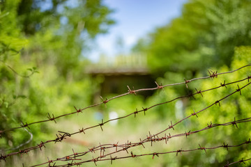 Rusty barbed wire on the blurry background