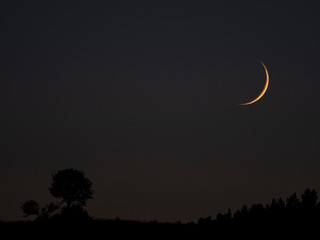 Obraz na płótnie Canvas new moon. Prayer time. Generous Ramadan. Sunset or sunrise with clouds. Night sky landscape and moon, stars, Ramadan Kareem celebration. landscape with silhouette of trees and young moon in the sky. 