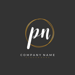 Handwritten initial letter P N PN for identity and logo. Vector logo template with handwriting and signature style.