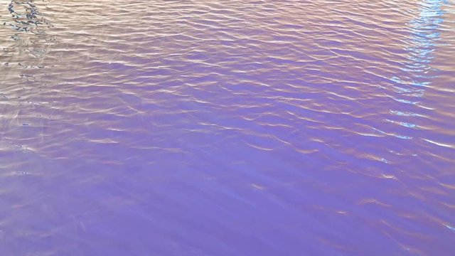 Purple water - Tilt down