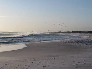 Watching the seagulls in the late spring afternoon