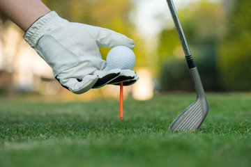 Hand putting golf ball on tee in golf course.