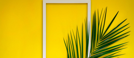 Banner for the site in a tropical style in yellow.