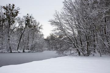 Fototapeta na wymiar Park in Nymphenburg Castle, Munich in wintertime