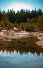 Small river in the woods 