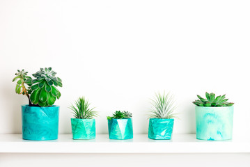 Collection of marbled geometric succulent planters with beautiful tiny succulent plants on white...