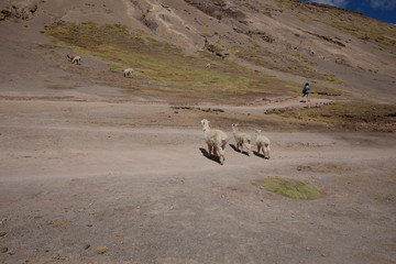 Bolivia, Peru, Argentina
