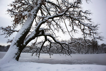 Fototapeta premium Park in Nymphenburg Castle, Munich in wintertime
