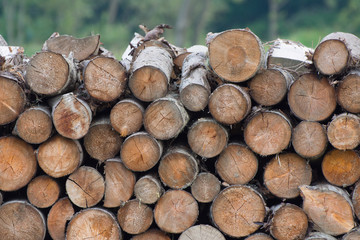 Logs and firewood for a fireplace or stove is stacked. Wood processing. Heating of premises with wood. Background for postcards.