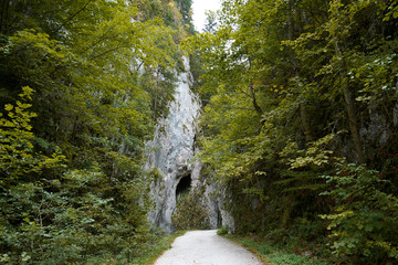 Gorge Zarnestiului Prapastiei in Carpathian Mountains, Zarnesti, Romania. Nature preserve Piatra Craiului National Park. The walkway among the rocks, autumn.