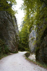 Gorge Zarnestiului Prapastiei in Carpathian Mountains, Zarnesti, Romania. Nature preserve Piatra Craiului National Park. The walkway among the rocks, autumn.