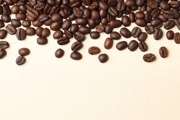 Coffee beans on a colored background.