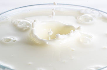 splash on the surface of white milk on a white background