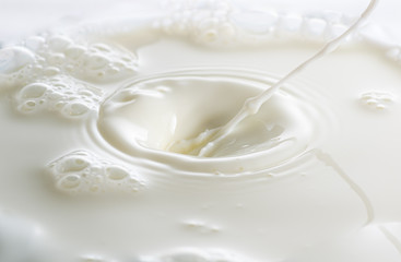 splash on the surface of white milk on a white background