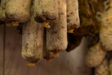 delicious sausages hung to mature, Tuscany