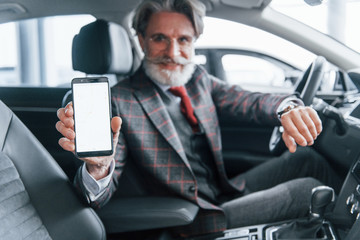 Modern stylish senior man with grey hair and mustache holding smartphone in the modern car