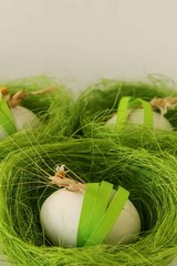 Green nests with white eggs on a white background