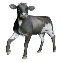 3D Rendering Calf on White