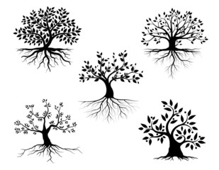Set Black Trees and root with leaves look beautiful and refreshing.Tree and roots LOGO style.