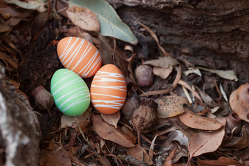 Easter eggs hunt camping outside 
