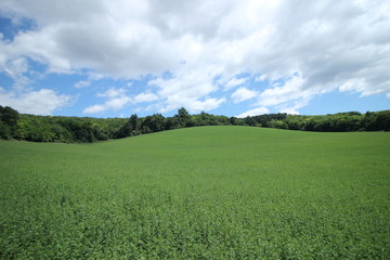 Clouds on Hungarian hills.