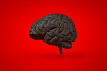 Anatomical illustration over a vivid colored background. Brain close-up.