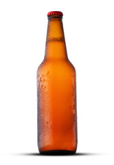 brown full bottle with beer isolated