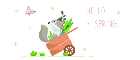 Vector flat illustration with cartoon fox. A gray fox sits in a garden cart and looks at a butterfly. Banner with the inscription: Hello Spring. Isolated on a white background.