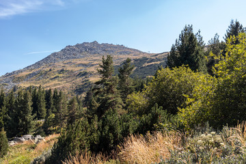 Amazing Autumn landscape of Vitosha Mountain, Bulgaria