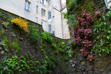 Fototapeta na wymiar Vegetal Wall by Patrick Blanc, Vinet Square, Bordeaux, Nouvelle Aquitaine, France, Europe